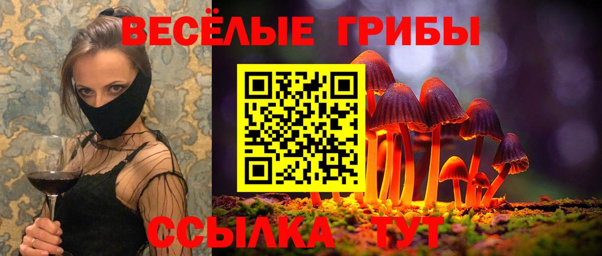 Красноярск  Галлюциногенные грибы Magic Shrooms  Вход с VPN 