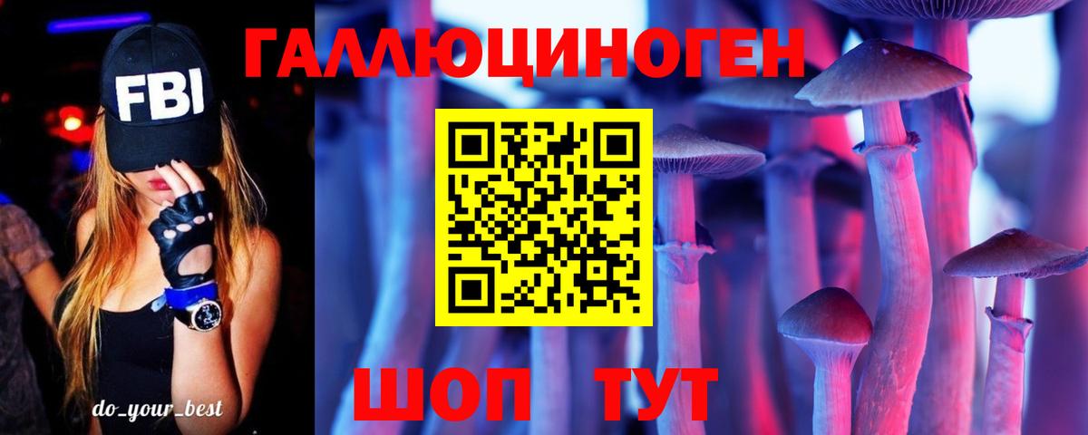 Псилоцибиновые грибы мицелий Красноярск